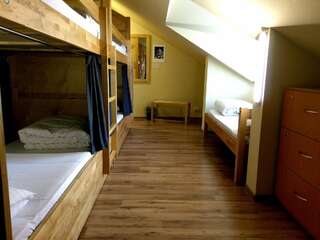 Хостелы DREAM Hostel Poltava Полтава Кровать в общем номере смешанного типа на 7 гостей-7